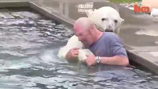 The Only Man In The World Who Can Swim With A Polar Bear- Grizzly Man