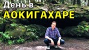 Провел день в жутком лесу – Аокигахара Япония