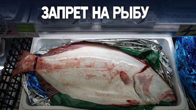 Россия, возможно, откажется от японских морепродуктов