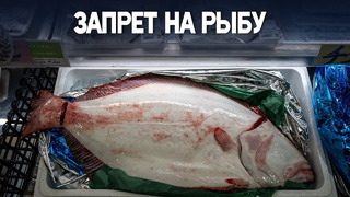 Россия, возможно, откажется от японских морепродуктов