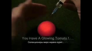 Как сделать светящийся помидор