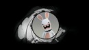 Бешеные кролики: Вторжение 22