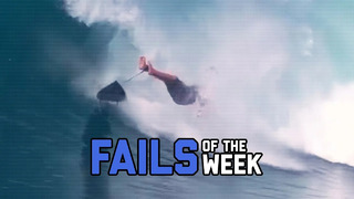 Nature Strikes Back – Fails of the Week | FailArmy