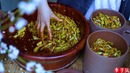 Маринованные овощи и каша со сливами – это домашний завтрак