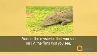 08 Episode Eight – Crocodile Tourism (IELTS Preparation-UCE.VN)