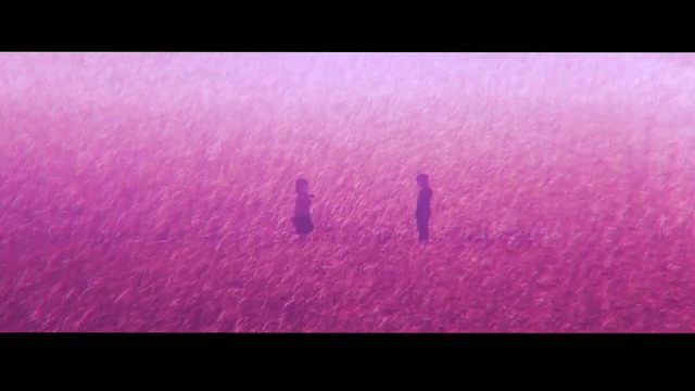 Kizumonogatari amv • trndsttr