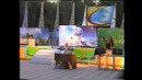 Qvz final 2007