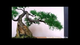 Искусственное дерево бонсай 6 ( bonsai moyogi )