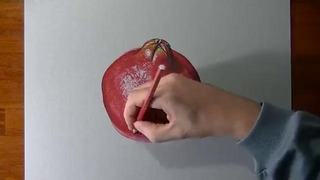 Drawing time lapse: a pomegranate – hyperrealistic art