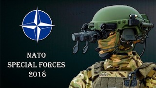 Специальные вооружённые силы НАТО