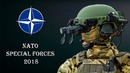 Специальные вооружённые силы НАТО