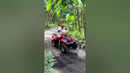 Off road and in trouble