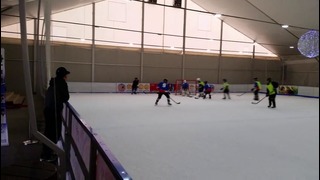 Хоккей в Ice Rink 2