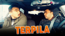 Zamonaviy bojalar – Terpila
