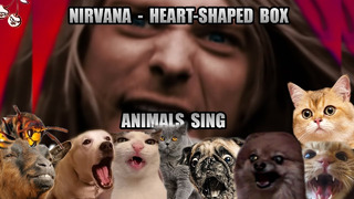 Nirvana – Heart-Shaped Box (Animal Cover)