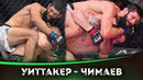 БОЙ: Роберт Уиттакер – Хамзат Чимаев | UFC 308
