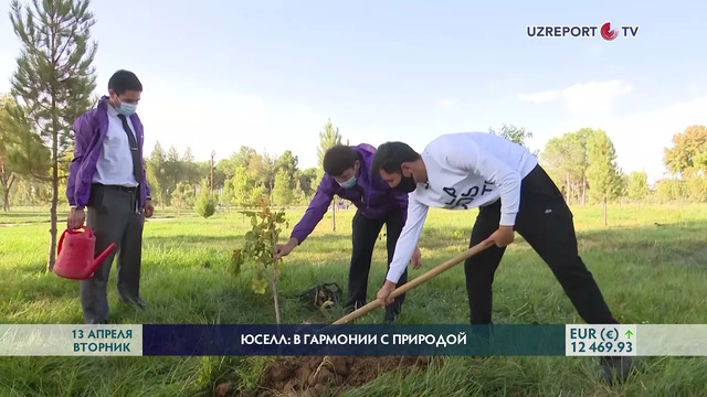 Сотрудники Ucell посадили саженцы 1070 декоративных деревьев в Термезе