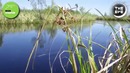 На юге Аргентины нашли невероятное, идеально круглое и двигающееся озеро