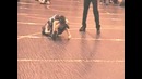 Little wrestler