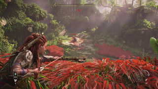 [4K] Horizon Запретный Запад – Начало игры PS5
