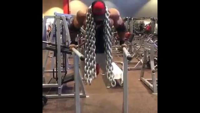 Fitness & Bodybuilding Enthusiasts