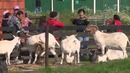 Непутёвые заметки – Нидерланды – Амстердам (1 часть)