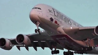 Airbus A380 – Звери на борту Аэропорт Домодедово 2018