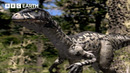 Dinosaurs Struggle to Survive in a Changing World | Walking with Dinosaurs (1999) | BBC Earth