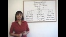 Past Tense Regular Verb Pronunciation