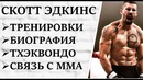 Скотт Эдкинс: реальный бой, тренировки, тхэквондо и ММА, нокауты