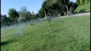 Когда овчарке жарко и включили воду