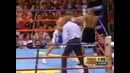 Флойд Мейвезер против Артуро Гатти ( с Гендлином)