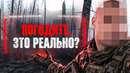 BODYCAM – САМЫЙ РЕАЛИСТИЧНЫЙ ШУТЕР, В КОТОРЫЙ НЕКОМФОРТНО ИГРАТЬ