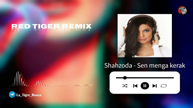 Shahzoda – Sen menga kerak ( Red Tiger remix )