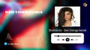 Shahzoda – Sen menga kerak ( Red Tiger remix )