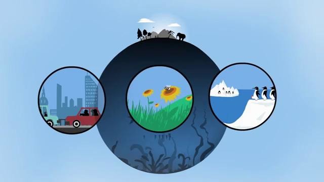 How big is the ocean- – Scott Gass