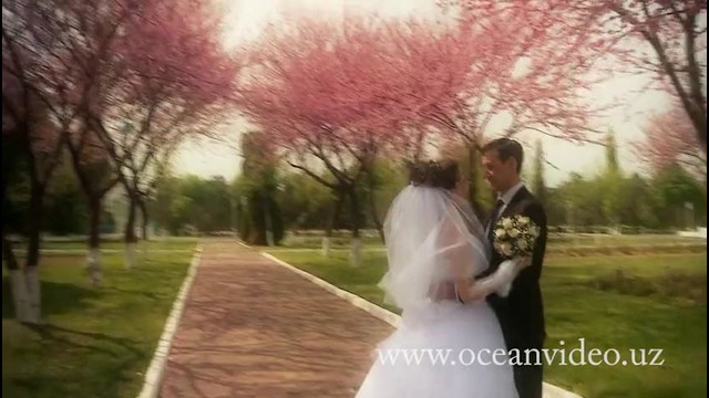 Свадьба Дениса и Марины 18 апреля 2014