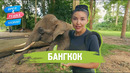 Бангкок. Орёл и Решка. Казахи (ukr, eng, rus sub)