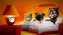 My Talking Tom ep.5 – Lights Out