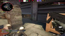 2 CS-GO – Панда