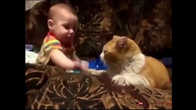 Кот укладывает ребенка спать