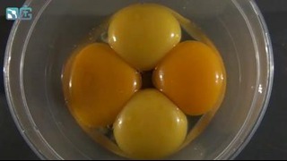 Азартные яйца – физико-кулинарный опыт