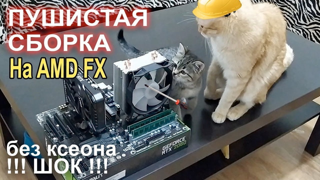 Даже котики могут собрать ПК, а ты нет)