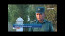 Самарқандлик эркак ўз аёлини жонидан маҳрум этиб, ҳовлисига кўмиб қўйди