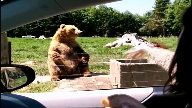 Best Fails of the Week September 2015