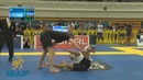 Top 15 BJJ Matches 2014