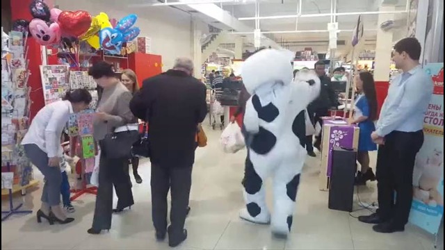 Корова Musaffo зажигает в Korzinka.uz