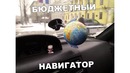 Лютые приколы. Даже у Вупсеня есть подружка