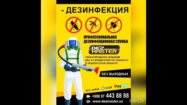 DEZMASTER.uz – Дезинфекция в Ташкенте. Уничтожение клопов тараканов насекомых