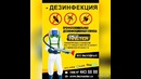 DEZMASTER.uz – Дезинфекция в Ташкенте. Уничтожение клопов тараканов насекомых
